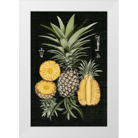 Graphic Pineapple Botanical Study I White Modern Wood Framed Art Print by McCavitt, Naomi