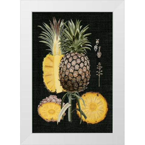 Graphic Pineapple Botanical Study II White Modern Wood Framed Art Print by McCavitt, Naomi