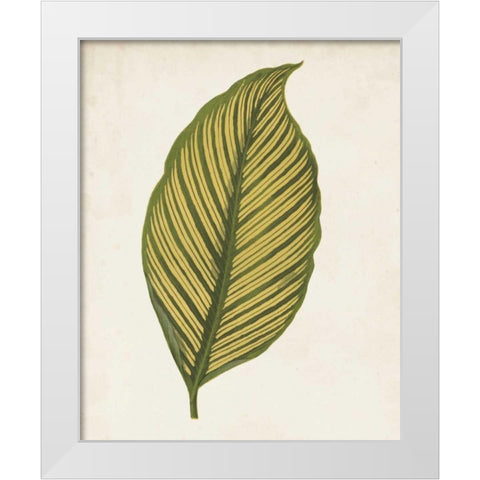 Graphic Leaf II White Modern Wood Framed Art Print by Vision Studio