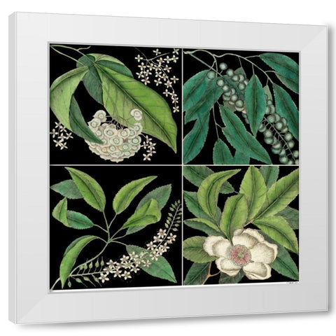 Graphic Botanical Grid I White Modern Wood Framed Art Print by Catesby, Mark
