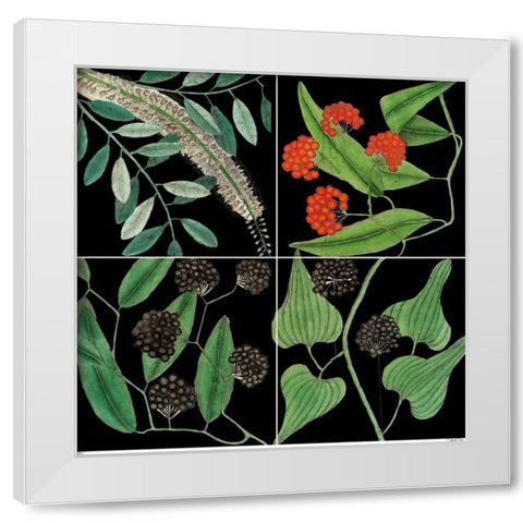 Graphic Botanical Grid IV White Modern Wood Framed Art Print by Catesby, Mark