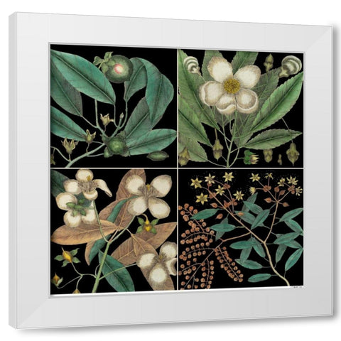 Graphic Botanical Grid V White Modern Wood Framed Art Print by Catesby, Mark