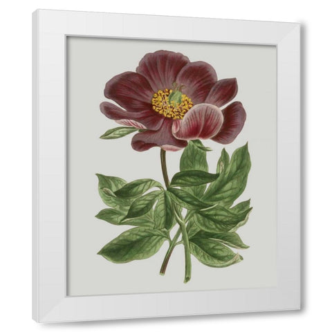 Floral Gems II White Modern Wood Framed Art Print by Vision Studio