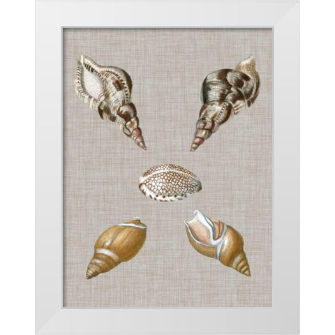 Shells on Linen IV White Modern Wood Framed Art Print by Vision Studio