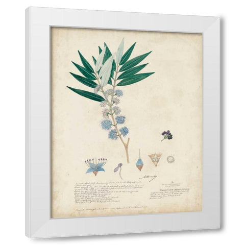Delicate Blue Descubes I White Modern Wood Framed Art Print by Descubes, A.