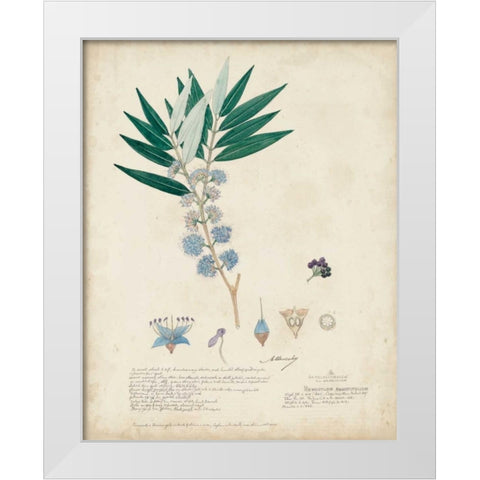 Delicate Blue Descubes I White Modern Wood Framed Art Print by Descubes, A.