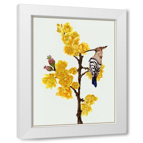 Chimonanthus Praecox II White Modern Wood Framed Art Print by Wang, Melissa