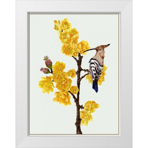 Chimonanthus Praecox II White Modern Wood Framed Art Print by Wang, Melissa