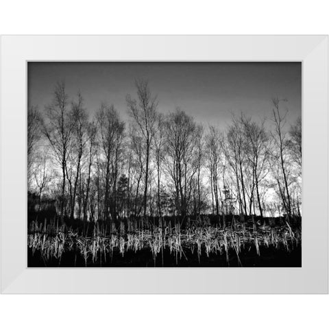 Watery Reflection White Modern Wood Framed Art Print by Henson, Martin