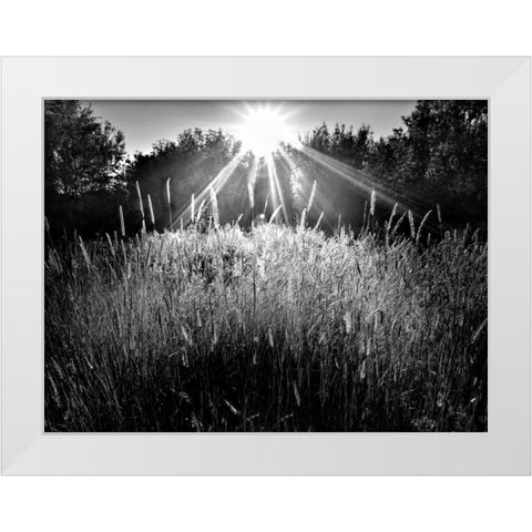 Reaching for the Sky White Modern Wood Framed Art Print by Henson, Martin