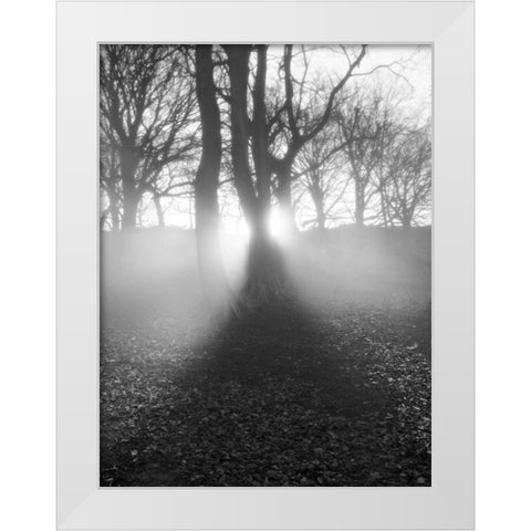 Morning Light White Modern Wood Framed Art Print by Henson, Martin