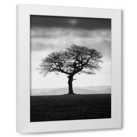 Without Leaves White Modern Wood Framed Art Print by Henson, Martin