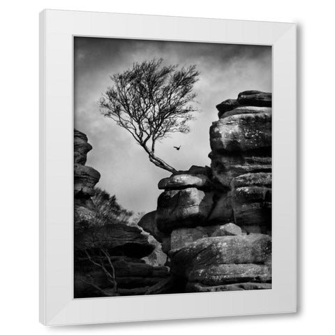Rock Life White Modern Wood Framed Art Print by Henson, Martin