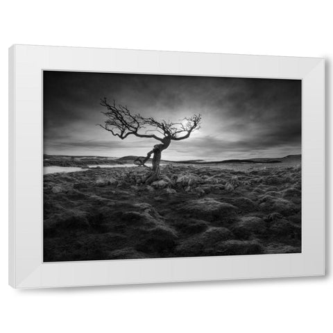 Lonesome White Modern Wood Framed Art Print by Henson, Martin