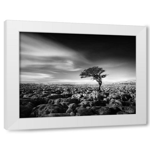 Tension White Modern Wood Framed Art Print by Henson, Martin