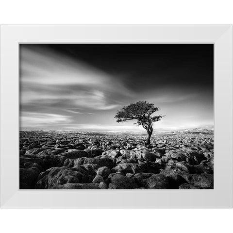 Tension White Modern Wood Framed Art Print by Henson, Martin