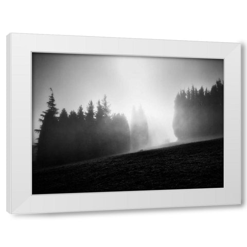 Misty Weather III White Modern Wood Framed Art Print by Henson, Martin
