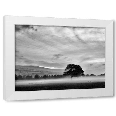 Misty Weather IV White Modern Wood Framed Art Print by Henson, Martin