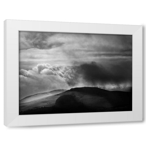 Misty Weather VIII White Modern Wood Framed Art Print by Henson, Martin