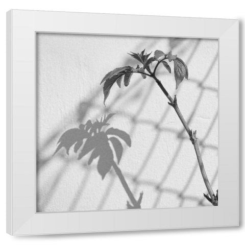 Around Town III White Modern Wood Framed Art Print by Henson, Martin