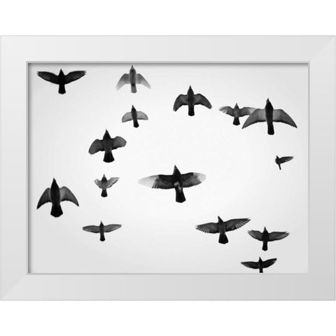 In the Skies I White Modern Wood Framed Art Print by Henson, Martin