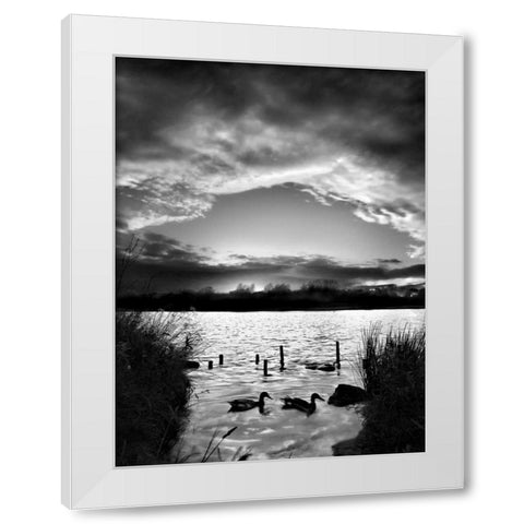 Swimming Pool White Modern Wood Framed Art Print by Henson, Martin