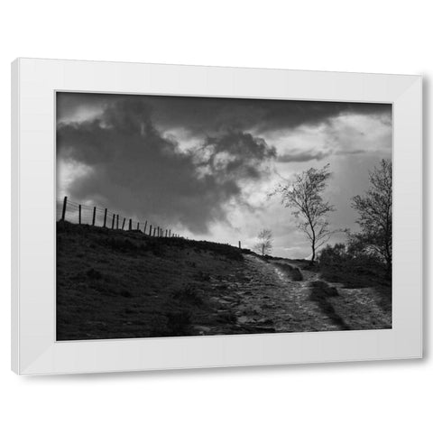 Lonely Path II White Modern Wood Framed Art Print by Henson, Martin