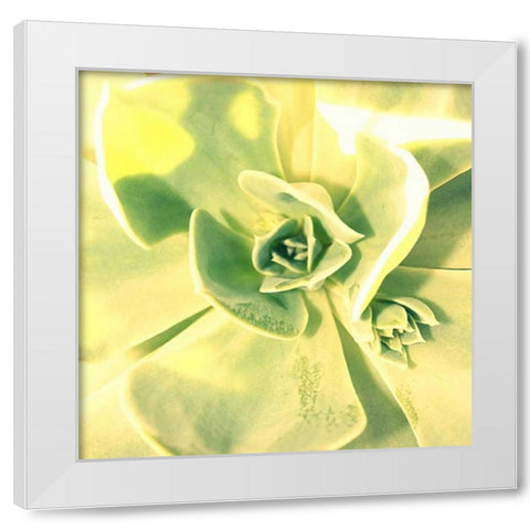Succulent I White Modern Wood Framed Art Print by Bell, Lillian