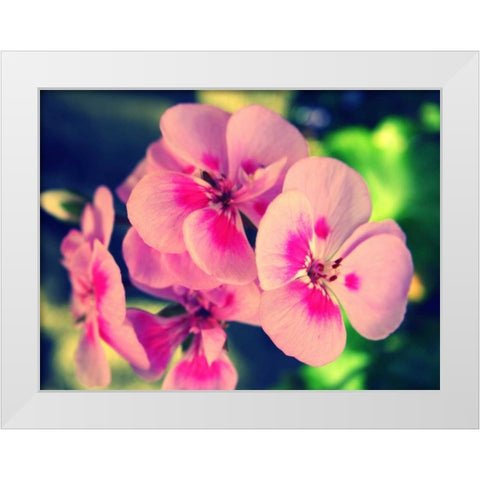 Pink Blossom II White Modern Wood Framed Art Print by Bell, Lillian