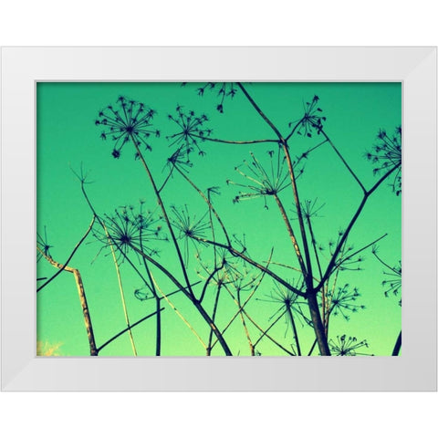 Cow Parsley I White Modern Wood Framed Art Print by Bell, Lillian