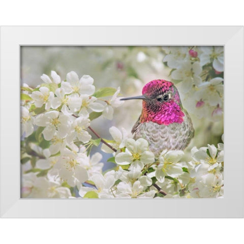 A Brilliant Peace I White Modern Wood Framed Art Print by Robertson, Leda