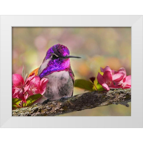 A Brilliant Peace II White Modern Wood Framed Art Print by Robertson, Leda