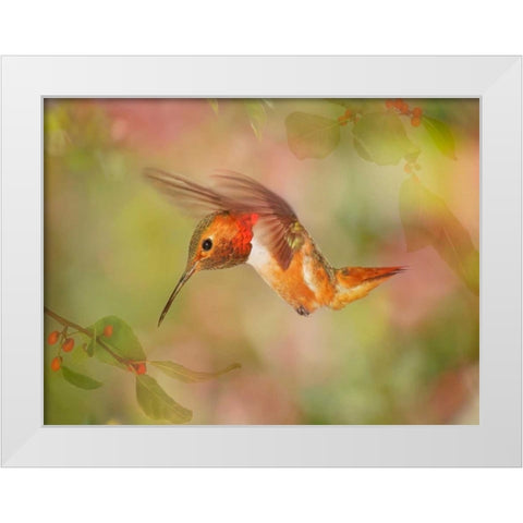 The Flower Dance III White Modern Wood Framed Art Print by Robertson, Leda