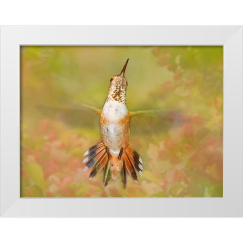 The Flower Dance IV White Modern Wood Framed Art Print by Robertson, Leda