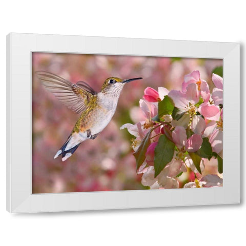 The Flower Dance V White Modern Wood Framed Art Print by Robertson, Leda