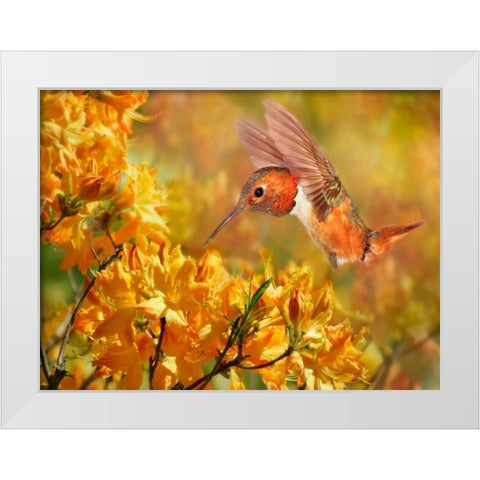 The Flower Dance XI White Modern Wood Framed Art Print by Robertson, Leda