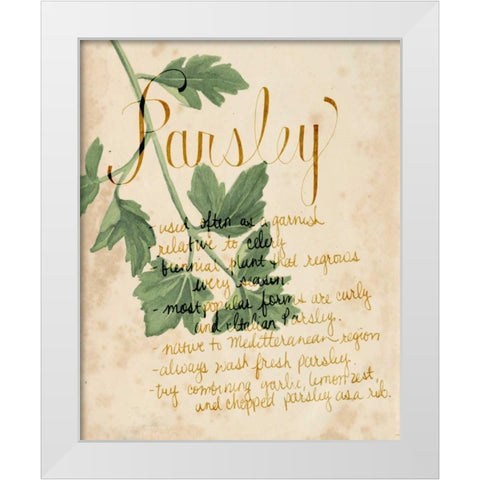 Herb Study V White Modern Wood Framed Art Print by Popp, Grace