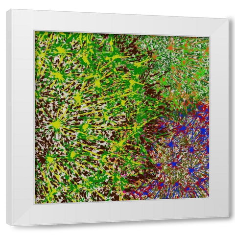 Profusion II White Modern Wood Framed Art Print by Burghardt, James