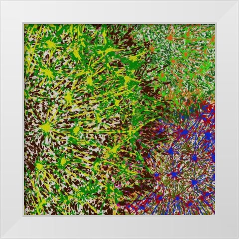 Profusion II White Modern Wood Framed Art Print by Burghardt, James