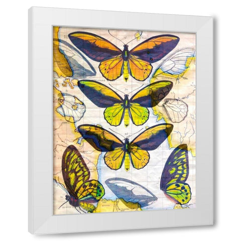 Butterfly Map I White Modern Wood Framed Art Print by Butler, John