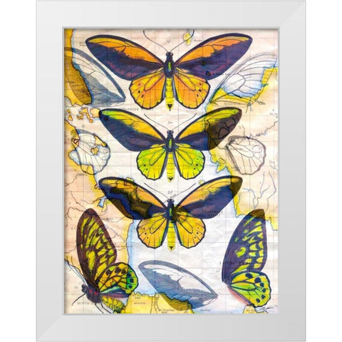 Butterfly Map I White Modern Wood Framed Art Print by Butler, John
