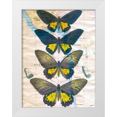 Butterfly Map II White Modern Wood Framed Art Print by Butler, John