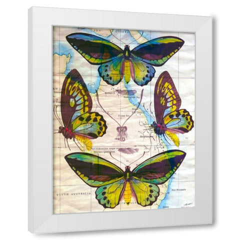 Butterfly Map III White Modern Wood Framed Art Print by Butler, John