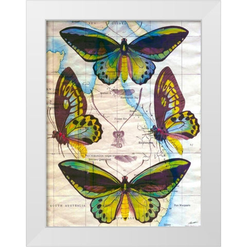 Butterfly Map III White Modern Wood Framed Art Print by Butler, John