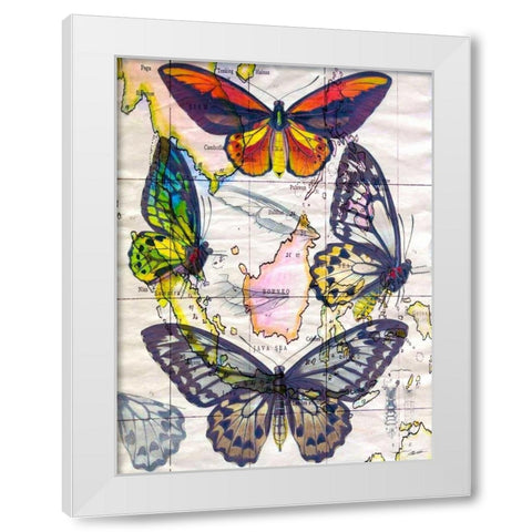 Butterfly Map IV White Modern Wood Framed Art Print by Butler, John