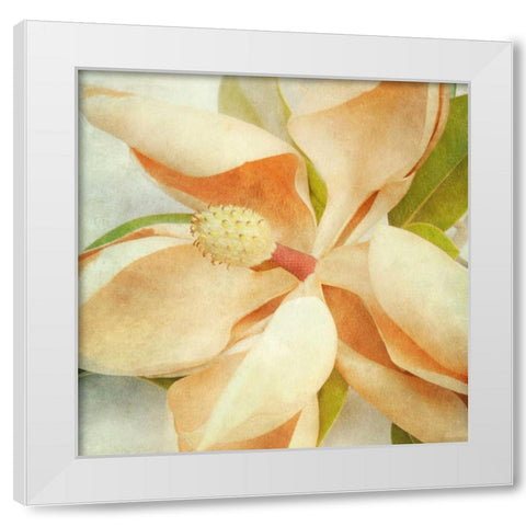 Vintage Magnolia I White Modern Wood Framed Art Print by Malek, Honey