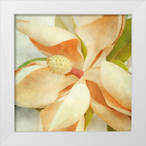 Vintage Magnolia I White Modern Wood Framed Art Print by Malek, Honey