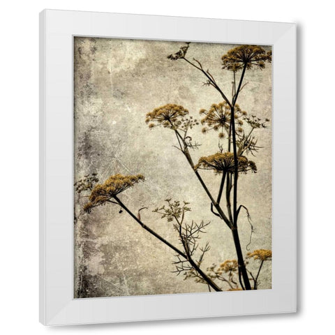 Big Sur Yarrow I White Modern Wood Framed Art Print by Malek, Honey