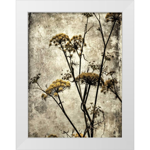 Big Sur Yarrow II White Modern Wood Framed Art Print by Malek, Honey