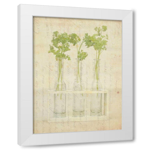 Herb Still Life I White Modern Wood Framed Art Print by Orlov, Irena